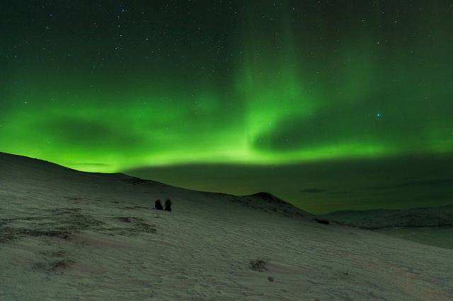 40 Abisko, noorderlicht.jpg